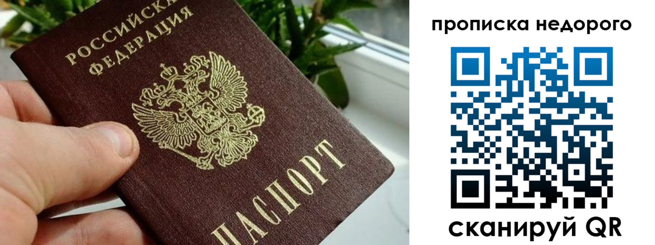 прописка для кредита в Куртамыше